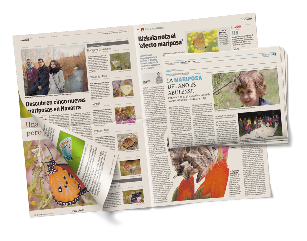 Prensa