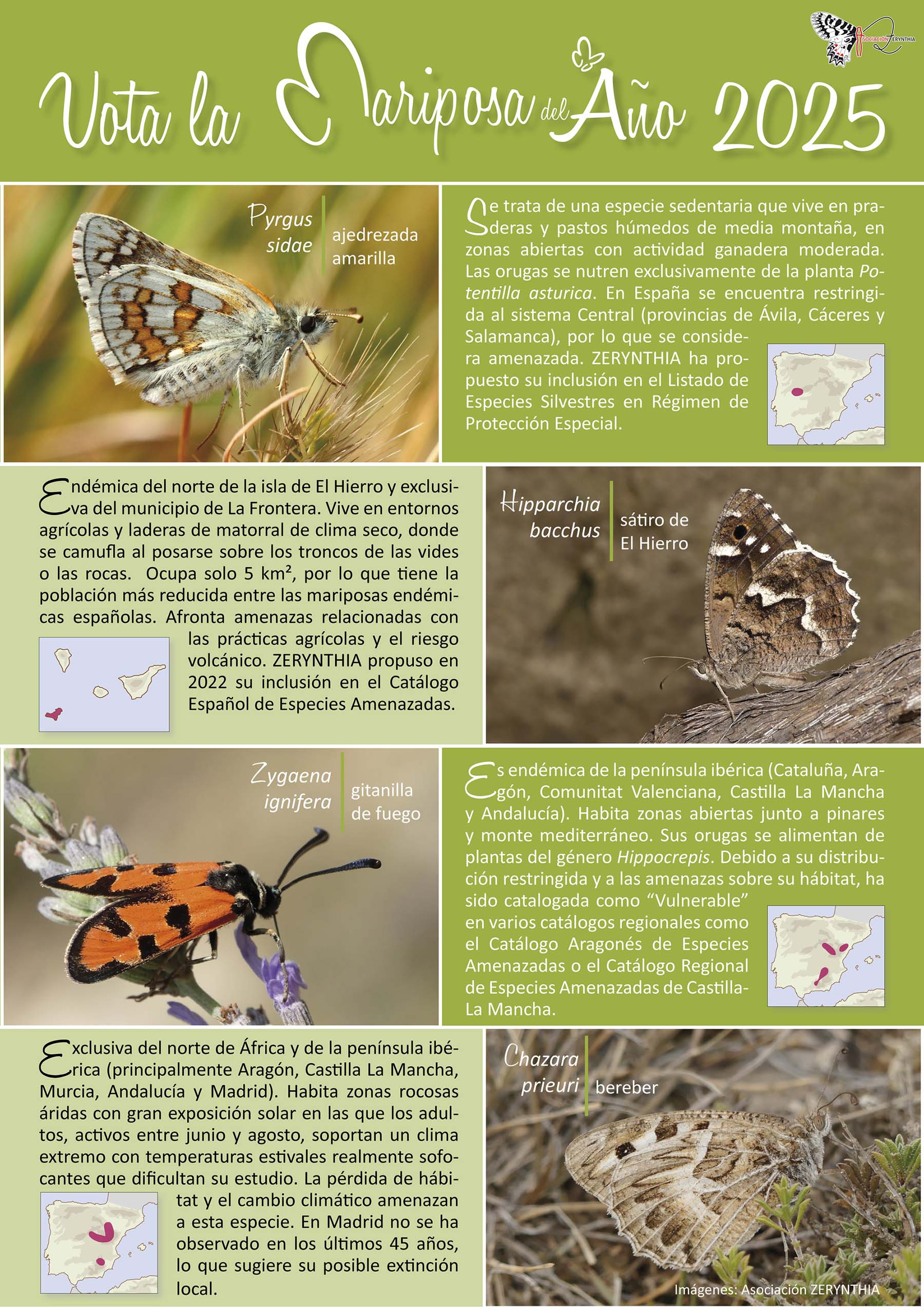 Elección Mariposa del año 2025