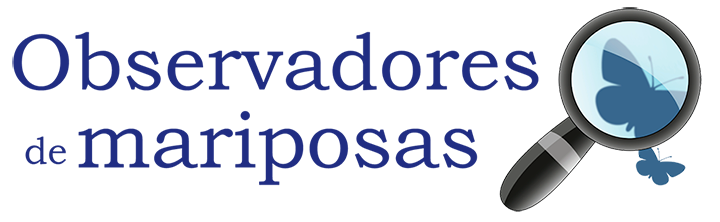 Observadores de mariposas