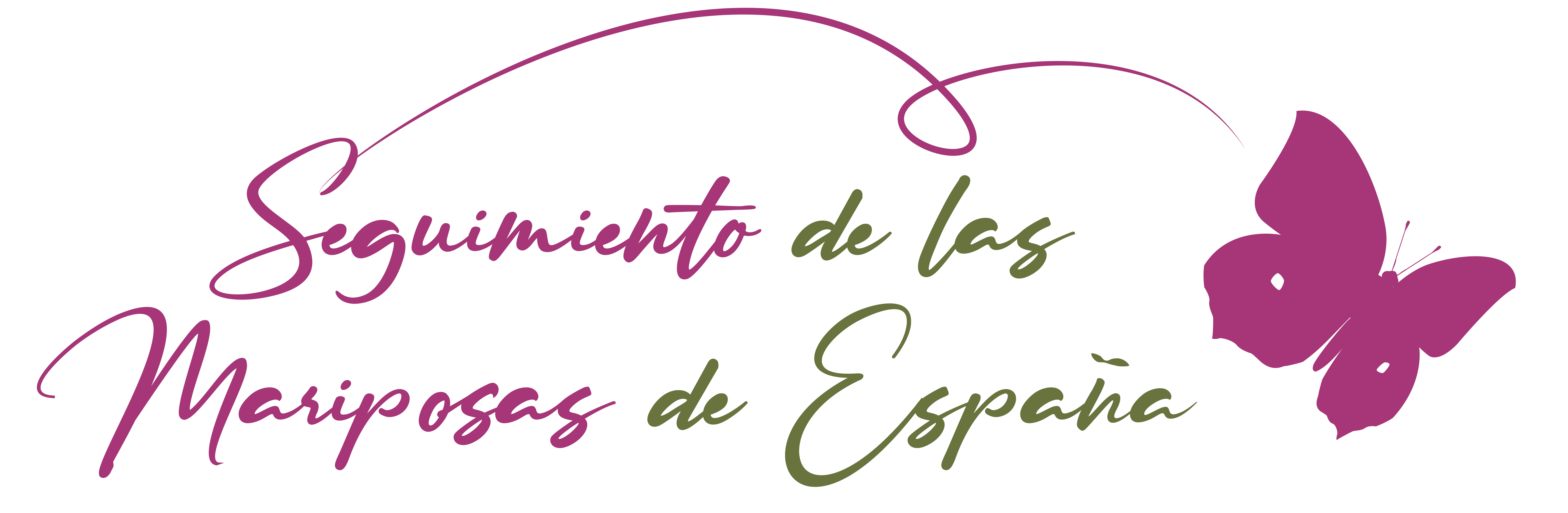 Seguimiento de mariposas diurnas